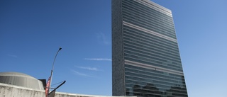 Är FN en funktionsduglig koloss?