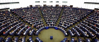 Förstagångsväljare lockas till EU-valet