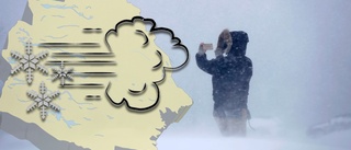 Fortsatta vädervarningar från SMHI – upp till 20 cm snö