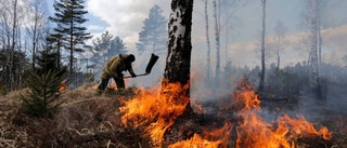 SMHI: Stor risk för gräsbrand