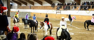 Publikfest på Uppsala ponnyklubb