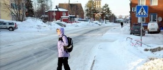 "Borde satsa på väg 99 i stället"