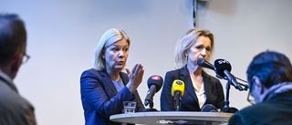 Gängen "en fara för hela Sverige"