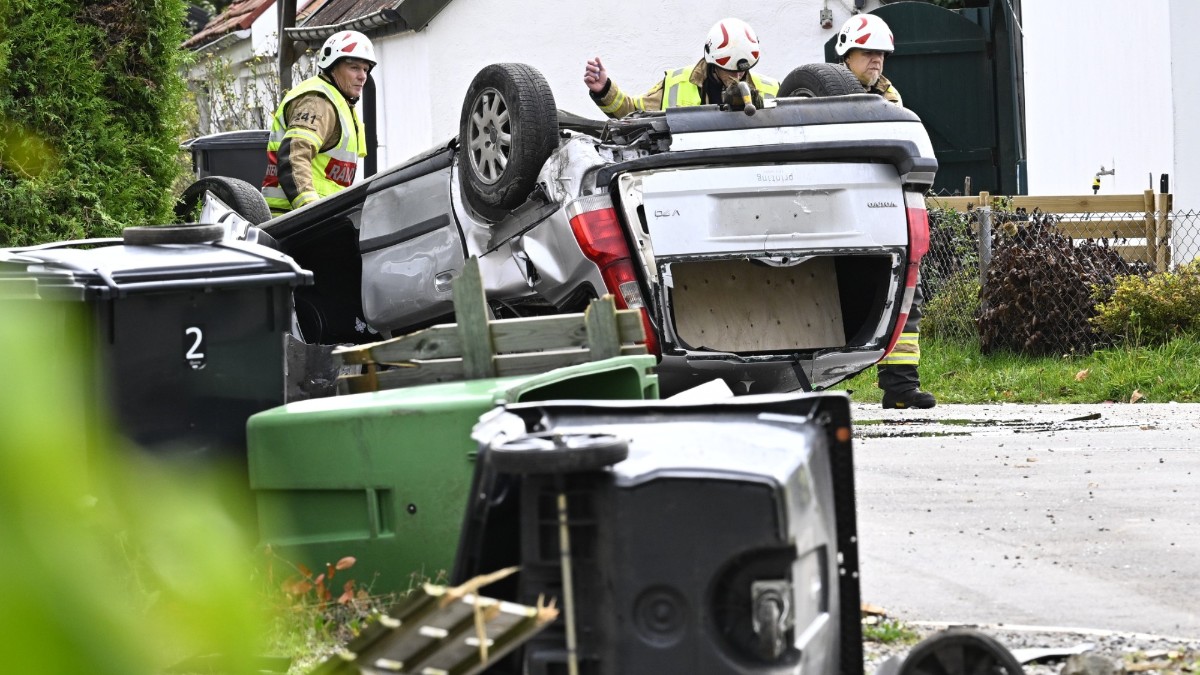 A Traktor Med Sex Ungdomar Voltade 3146