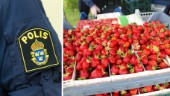 Köpte jordgubbar – tog sedan försäljarens kassaskrin och kutade iväg