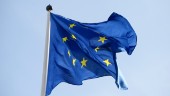 EU-samarbetet måste fördjupas för framtiden