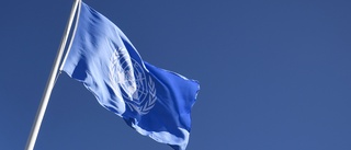 "Elit" har högre förtroende för FN och WHO