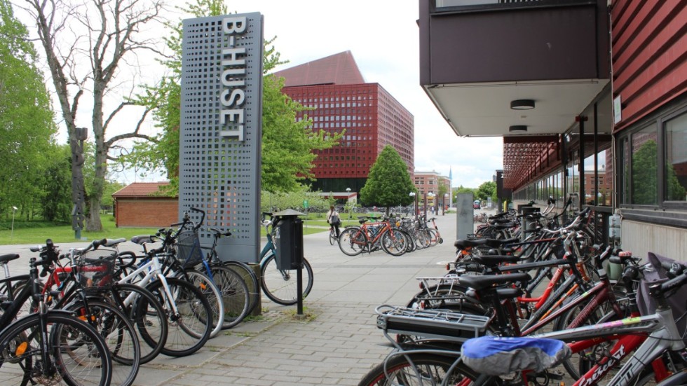 Tove studerar på läkarlinjen på Linköpings universitet. Universitet har aktiverat sitt krisstöd via studenthälsan så att de studenter som behöver får stöd av kurator.