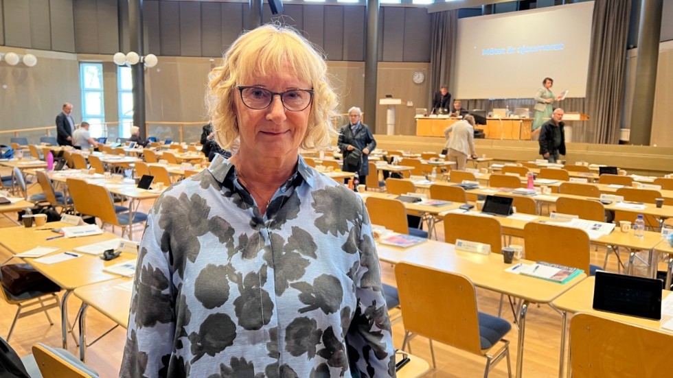 Lena Micko (S), tidigare kommunpolitiker i Linköping och statsråd är aktiv i sjukvårdspolitiken i regionen och en av S-debattörerna bakom dagens artikel, 