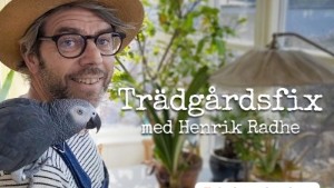 Premiär för Henriks bästa trädgårdstips • TV: Så fixar du finaste påskplanteringen