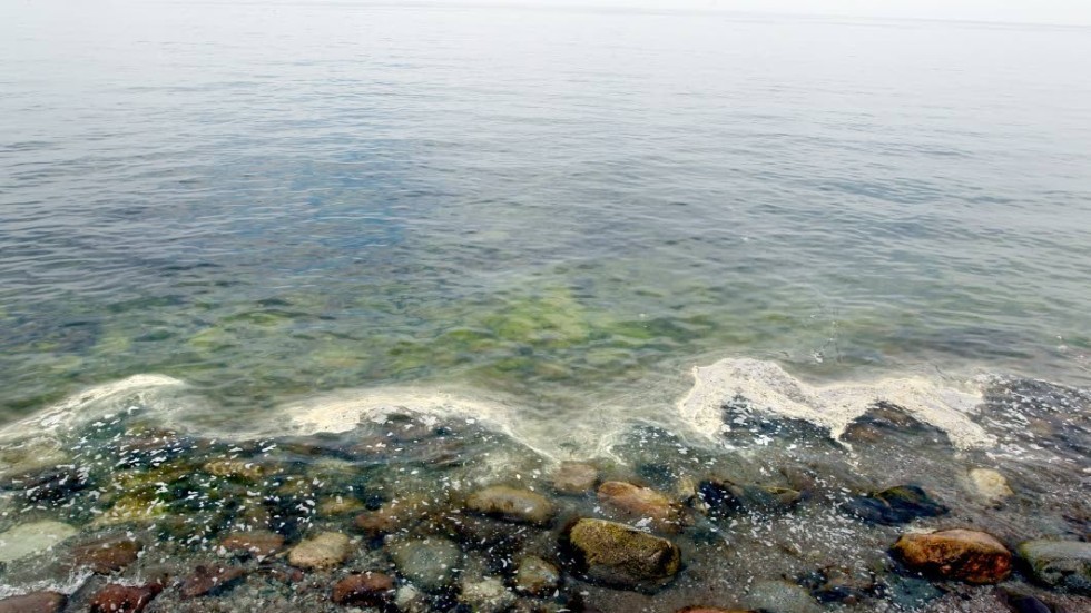 "Akta dig för algblomning. Den kan utgöra en hälsofara. Tyvärr så mår många svenska sjöar och Östersjön oerhört dåligt på grund av allvarlig övergödning", skriver  Jonas Norberg.