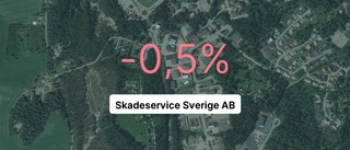 Skadeservice Sverige AB har ökat personalstyrkan rejält