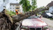 Klimatforskare: "Tornador kan bli kraftigare"