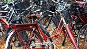 Nu stiger antalet cykelstölder