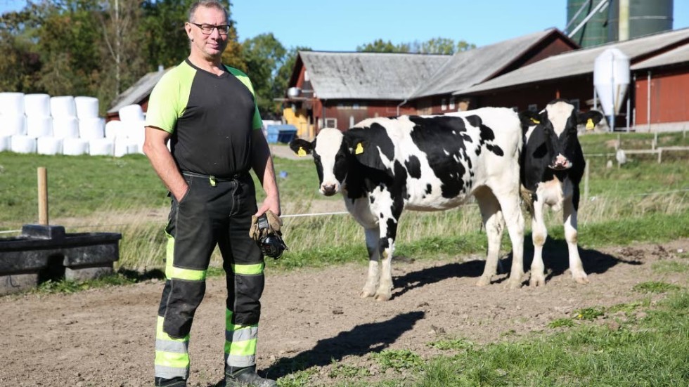 Lantbrukare Håkan Skärby föder upp kvigor på Framnäs gård och har i dagsläget 120 kvigor, från 8 till 25 månader. De säljs sedan till en större gård för att bli mjölkkor.