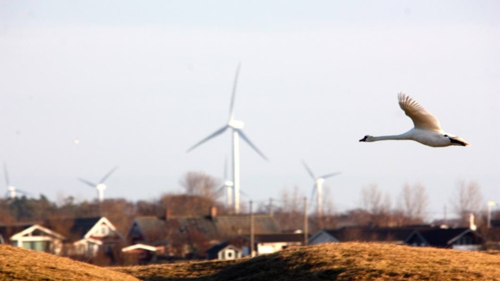 Vattenfall får nej att uppföra 25 vindkraftverk norr om Bruzaholm.