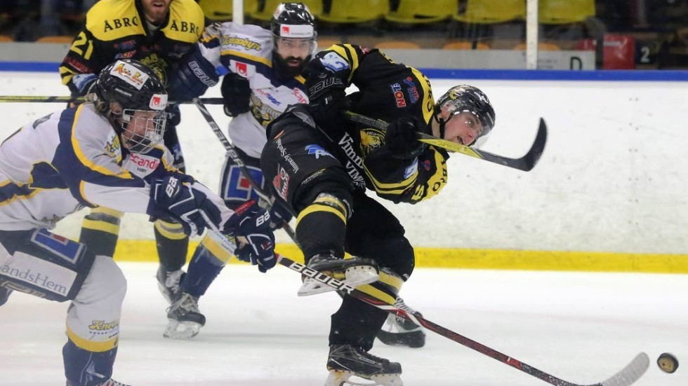 Vimmerby Hockey lånar in en ny forward.