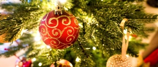 Här är de nya julgransreglerna i Linköping