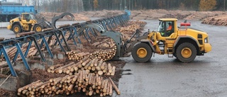 Bergs Timber förstärker i England