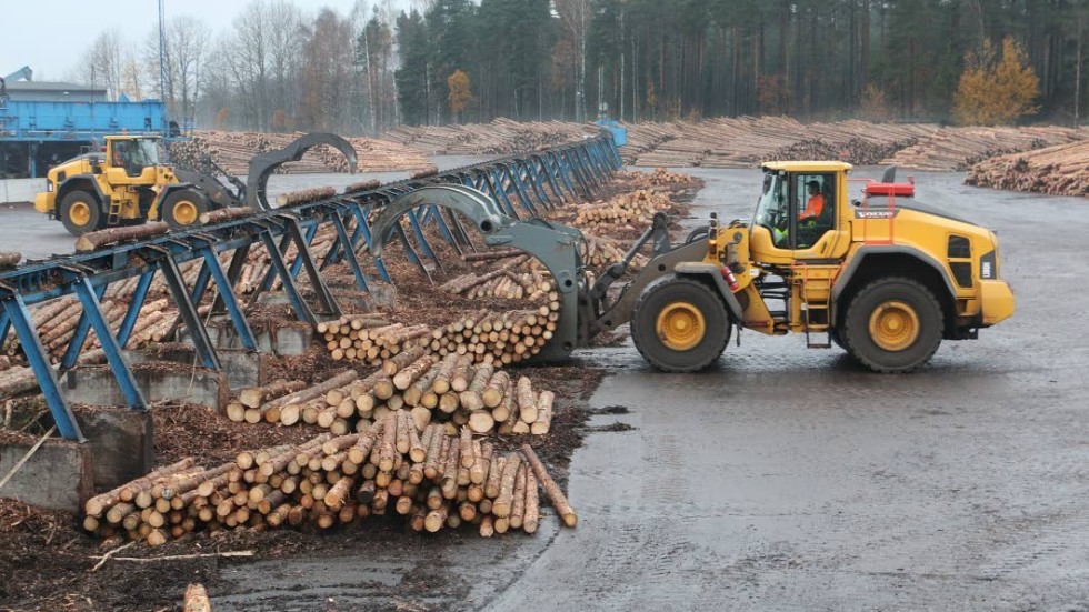 Bergs Timbers bolag i England förstärker banden med Sverige genom att bytas namn.