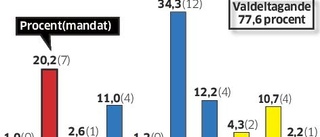 Fi tar plats i Ödeshögs ledning