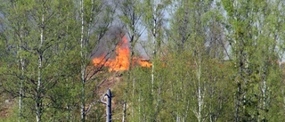 Kraftansamling fick stopp på skogsbranden