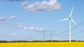 Bär vindkraften sina kostnader?