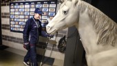 Vad gör den vita hästen i Saab arena?