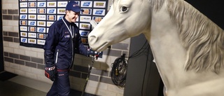 Vad gör den vita hästen i Saab arena?