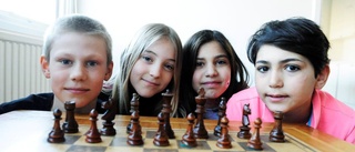 Breviksfyrorna till länsfinal i schack