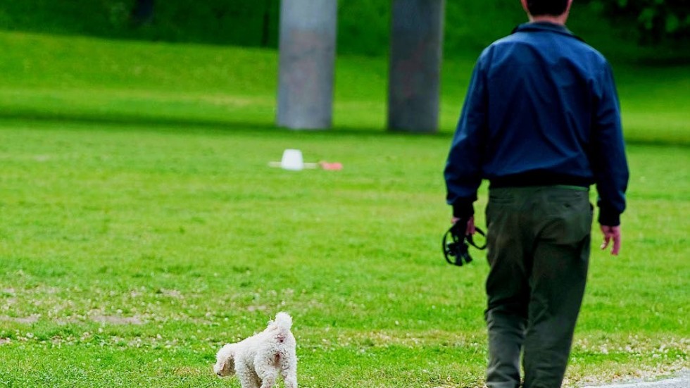 Hunden och ägaren på bilden har ingenting med artikeln att göra.