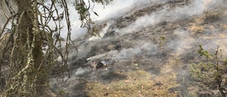 Besvärlig brand blossade upp i skogen