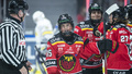 Luleå Hockey fick jobba för poängen mot SDE – så var matchen