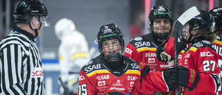 Luleå Hockey fick jobba för poängen mot SDE – så var matchen