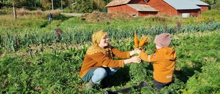 Nu dignar familjen Sandlunds köksbord av grönsaker