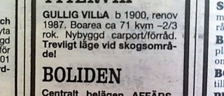 25 år sedan: Gullig villa till salu i Yttervik