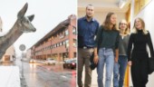 Hur ser framtiden ut för unga i Skellefteå? • Norran livesänder Bizbuz Youth på torsdag