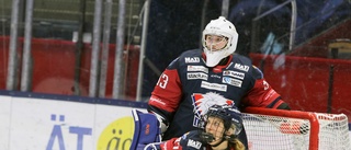 Inledde karriären i Piteå Hockey – nu laddar okända succémålvakten för OS: "Vi är i osannolikt bra form"