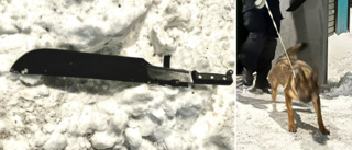 Polishund nosade upp machete – vid pizzeria i Årby: "Det är en liten klick som förstör"