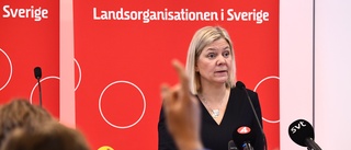 Andersson vill inte föregå KU-anmälan
