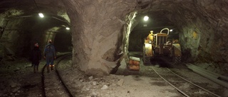 Bolag vill ta in 50 miljoner med ny gruva i Västerbotten som mål
