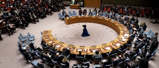 Nytt Rysslandsmöte i säkerhetsrådet