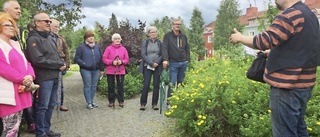 Le Corbusie och Bolidens solfjäder