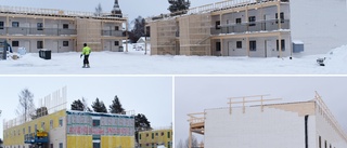 Arbete på tak stoppades vid bygge i Bureå • Även arbetstiderna ska kollas • En person måste lämna landet