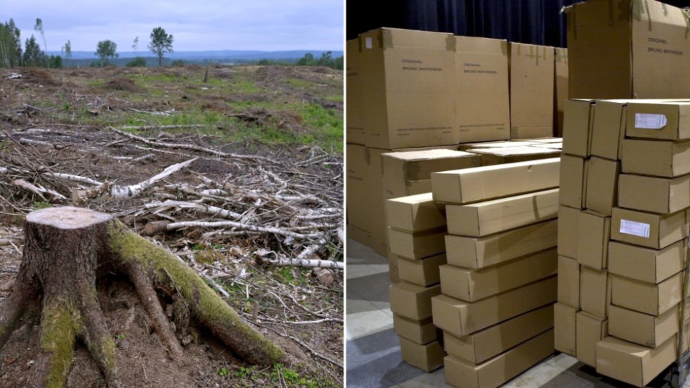 Om bara fem procent av den kartong som tillverkas i Sverige görs av återvunnet material måste det betyda att resten består av nyligen huggna träd - den slutsatsen drar insändarskribenten efter att ha sett SVT:s Slaget om skogen.