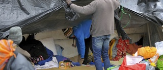 Migranter drunknade utanför Tunisien