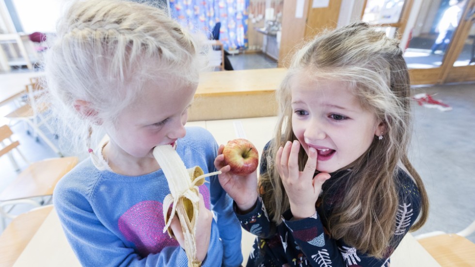 Det är viktigt att regeringen säkrar att EU kan finansiera både det nya fruktstödet och skolmjölksstödet. För att skapa största möjliga nytta bör barnen dessutom bjudas på ekologisk och allra helst svensk ekologisk frukt, skriver Emma Rung, vd Krav.