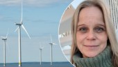 Forskaren spräcker miljömyter om vindparker till havs