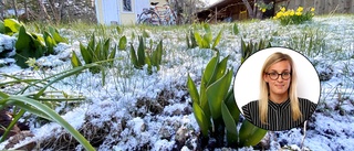 Nu är våren här – men snart väntar snö