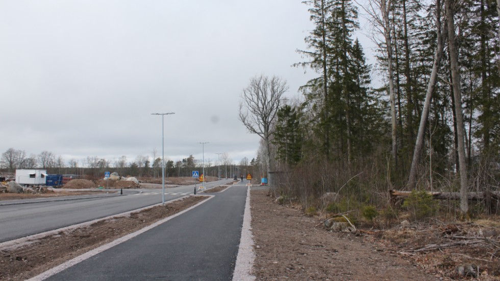 Nedfallna träd och sly kantar den nybyggda vägen i Gertrudsvik.